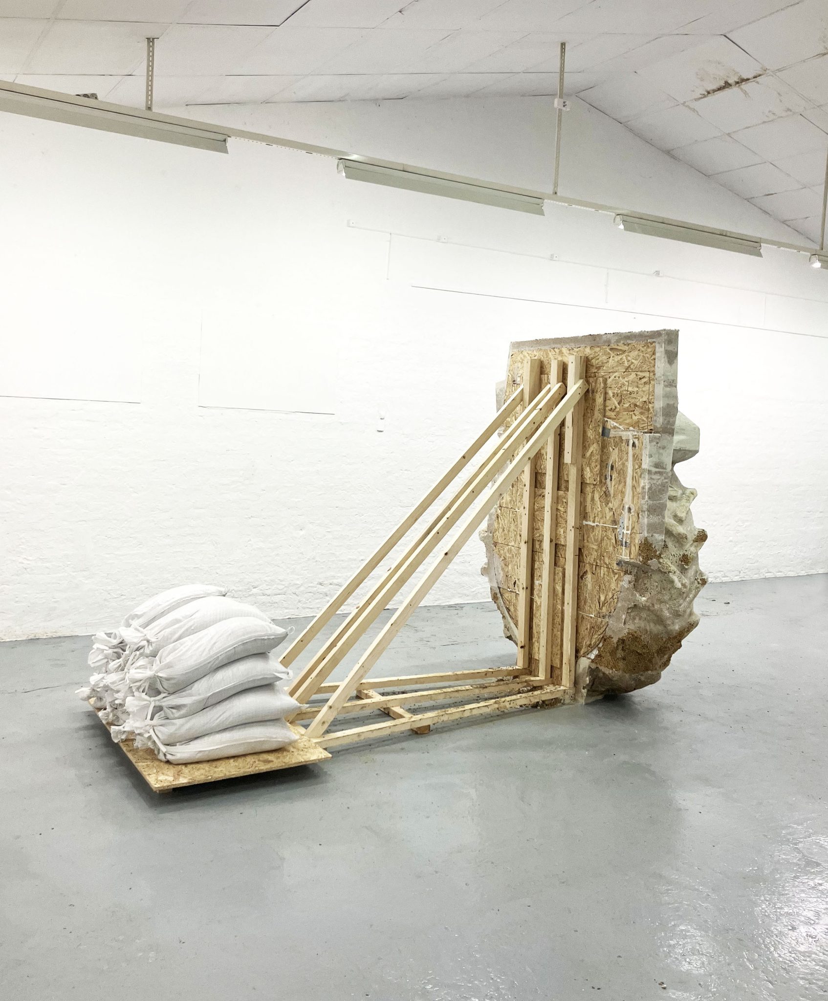 Aksel — image 5