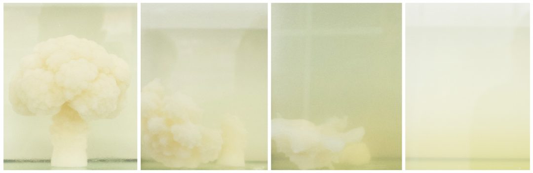 Cauliflower disolving in water — image 5