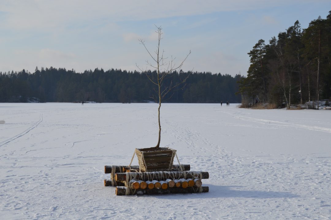 Raft on ice — image 1
