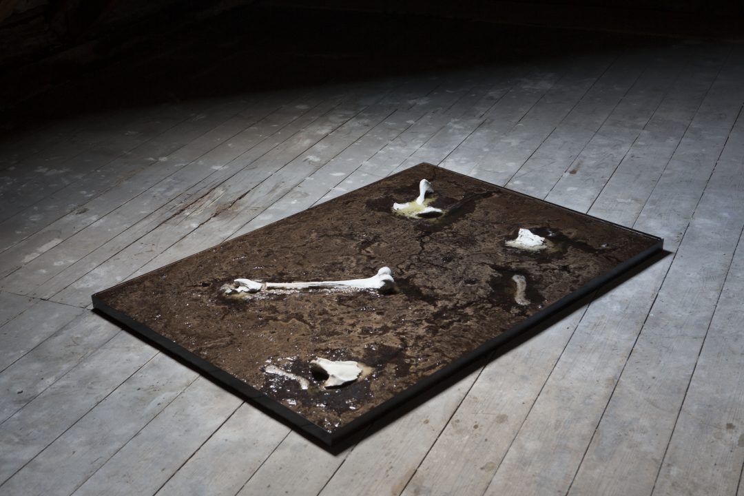 Bones dissolving — image 2