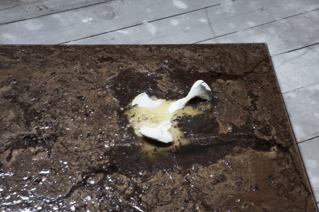 Bones dissolving — image 5