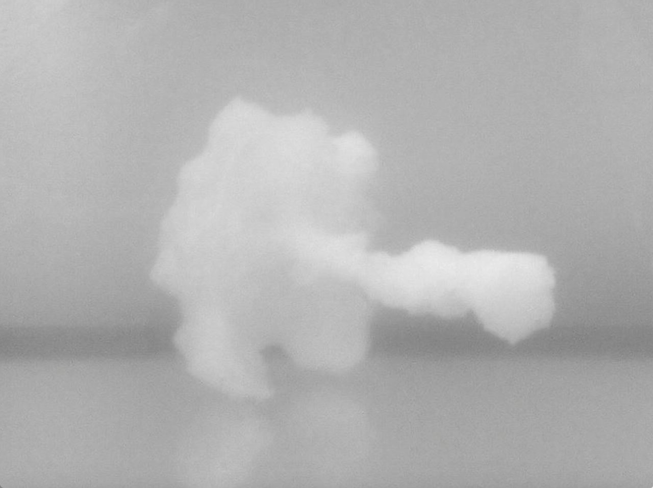 A pale, cauliflower-like form against a grey ground