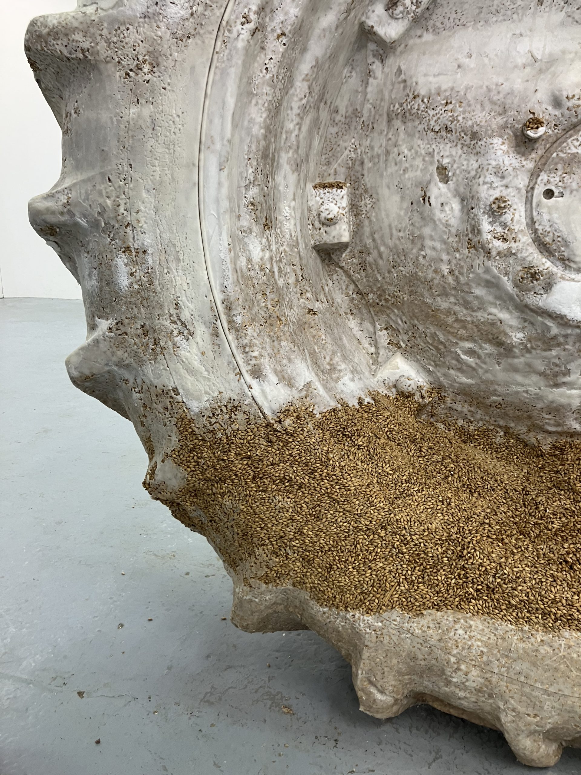 Aksel — image 2