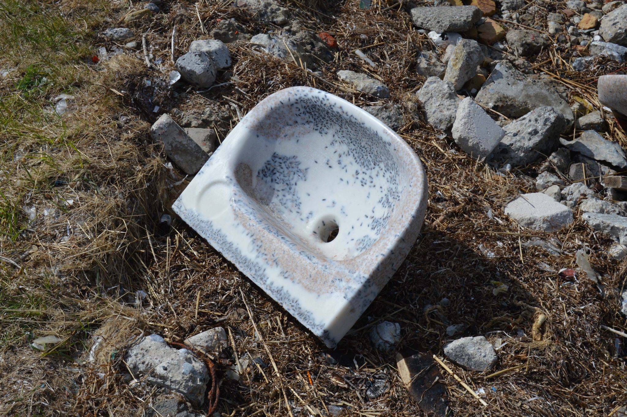 Untitled — image 2