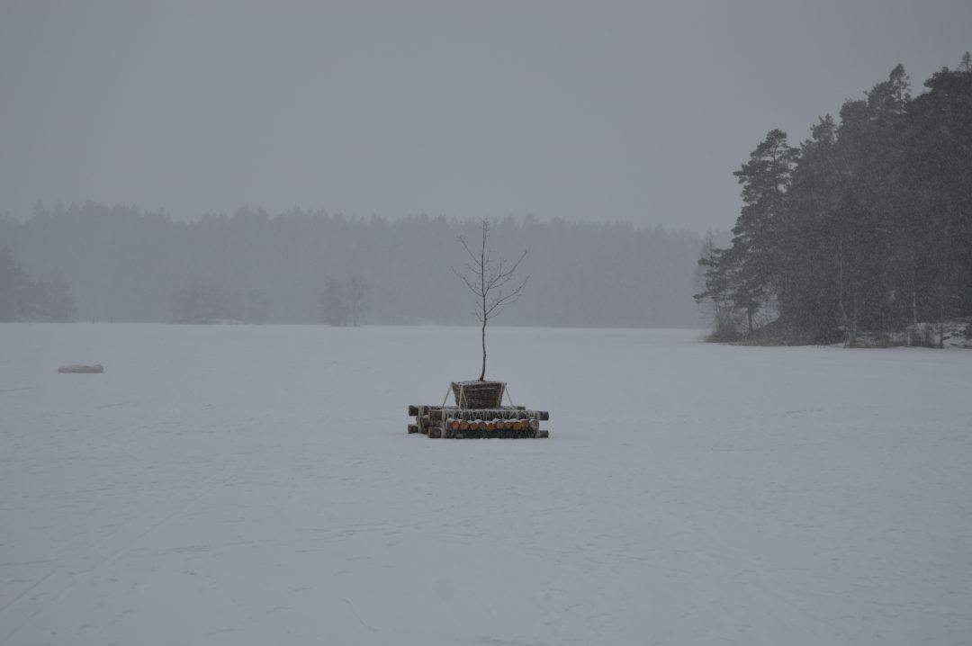 Raft on ice — image 4