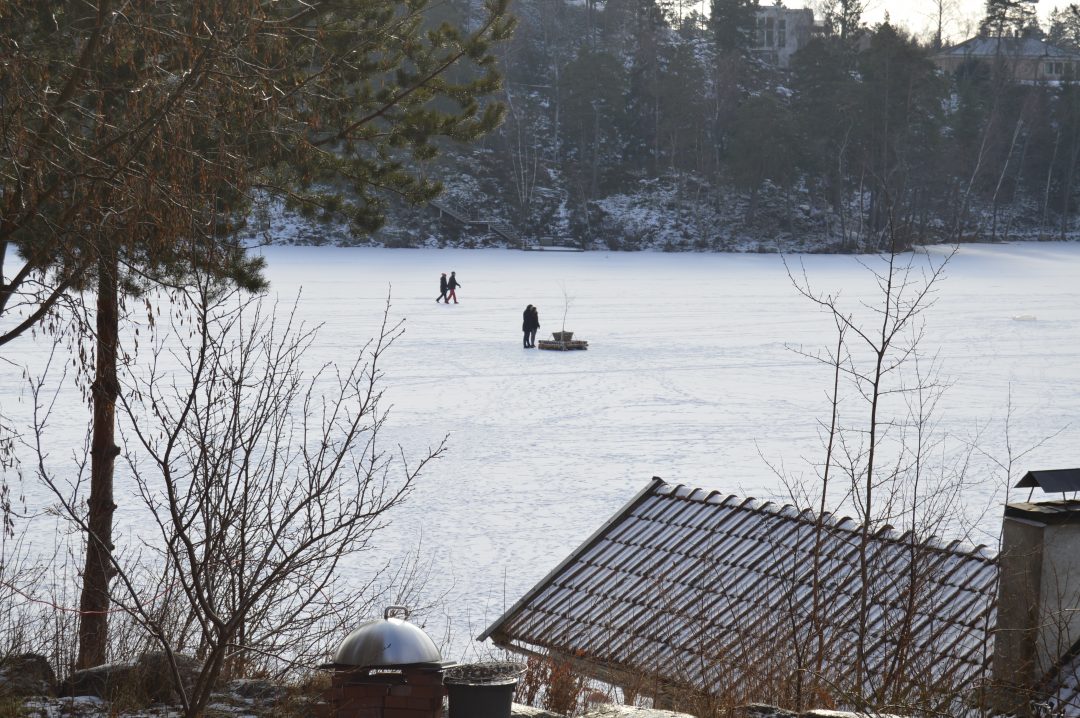 Raft on ice — image 3