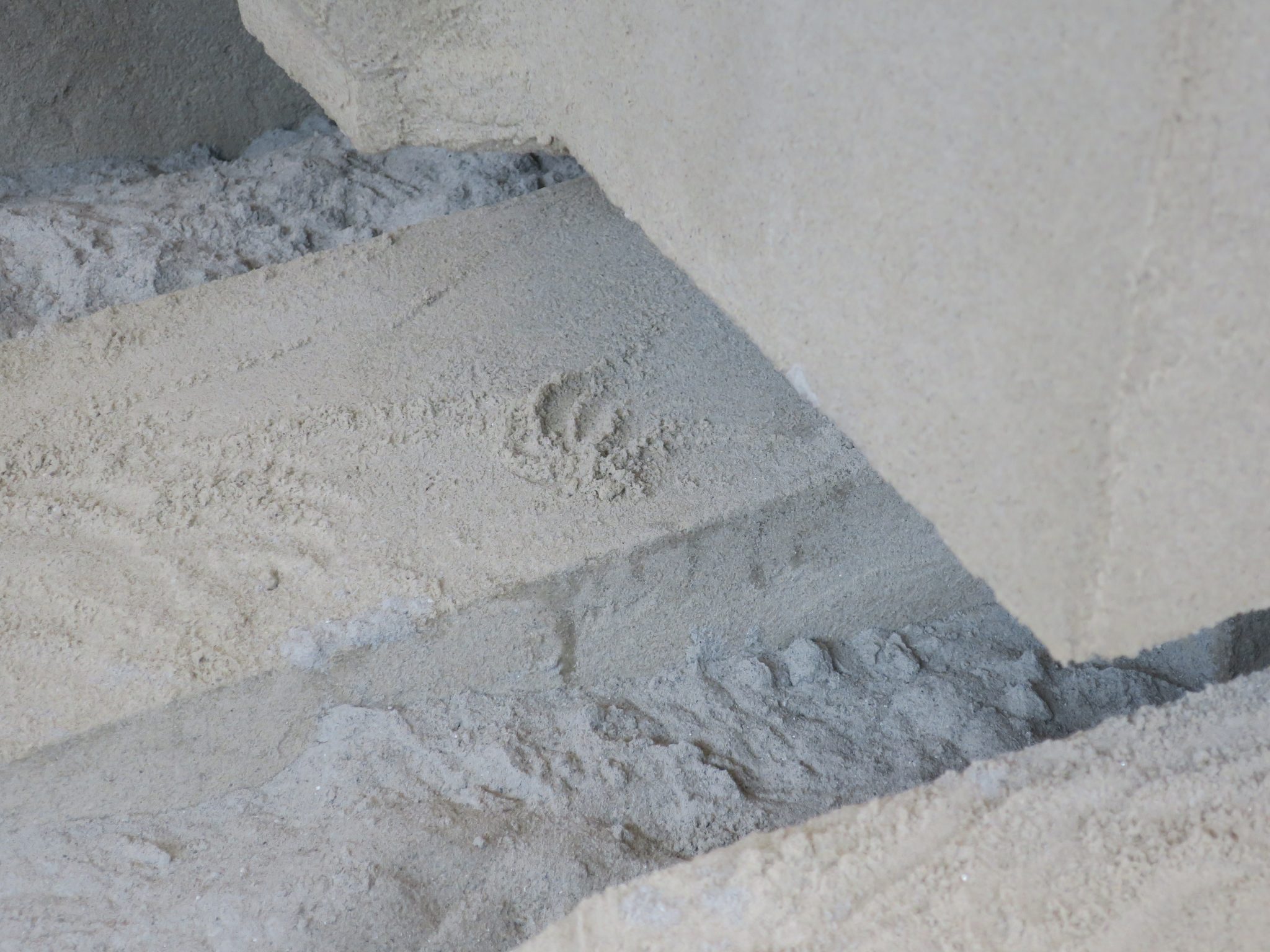 Drømmer gravemaskiner om sand? — image 7