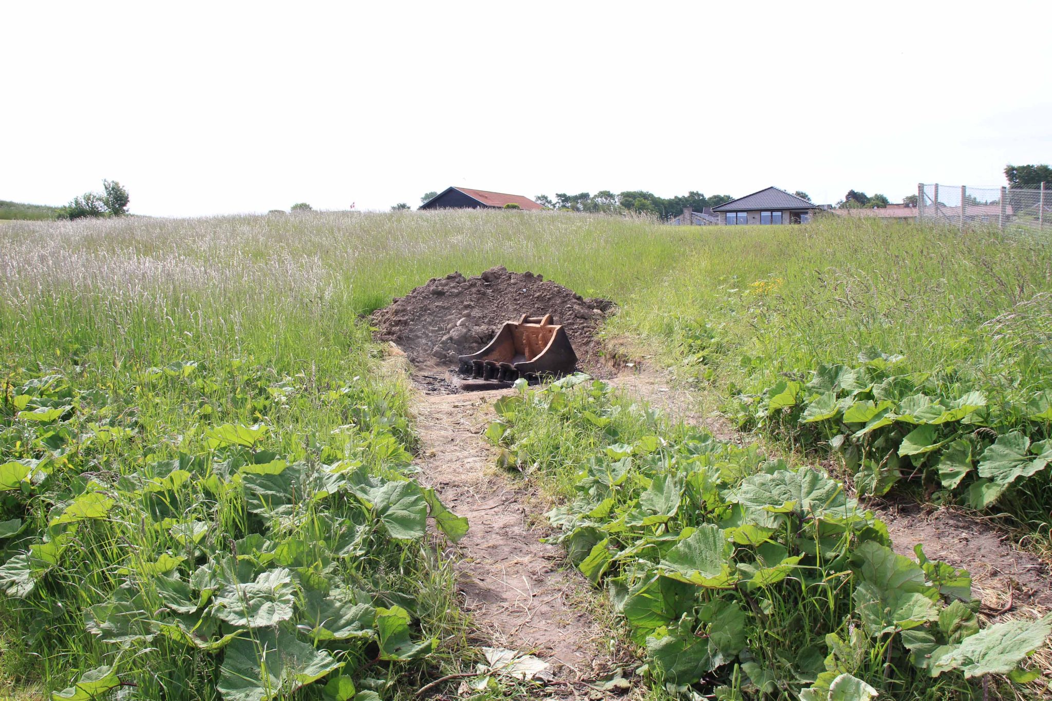 Skovl — image 2